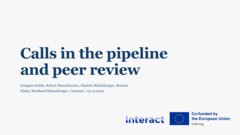 Calls in the pipeline and peer review Interact