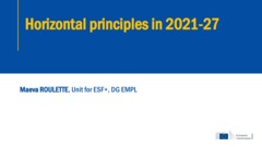 Horizontal principles 2021-27